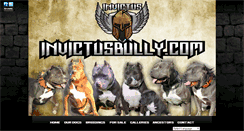 Desktop Screenshot of invictusamericanpitbulls.com