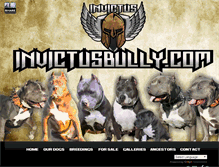 Tablet Screenshot of invictusamericanpitbulls.com